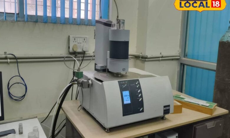 कैंसर सेल खत्म करने में कारगर?, पटना की लैब में हल्दी पर बड़ी रिसर्च