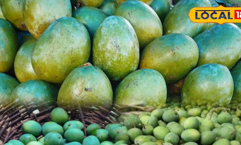 कोटे की कच्ची कैरी की बढ़ती डिमांड! स्वाद ऐसा कि नाम सुनते ही टूट पड़ते हैं लोग, अचार के लिए तो है सबसे बेस्ट