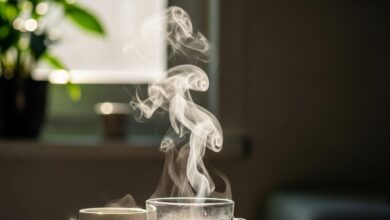 क्या आप जानते हैं? रोज गर्म पानी पीने से आपका शरीर अंदर से कैसे बदल सकता?