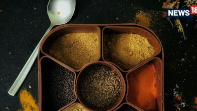 क्या आपने मसाला मेले के बारे में सुना है? जयपुर में कल से हो रही है शुरुआत, जानिए देशभर के कौन-कौन से मसाले मिलेंगे