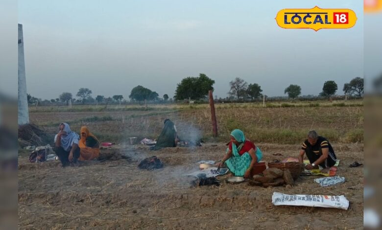 खेत बने आस्था का केंद्र! धौलपुर के इस गांव में मंदिरों में नहीं, बल्कि खेतों में पकता है भगवान का प्रसाद