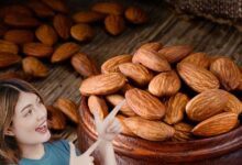गर्मियों में बादाम खाने चाहिए या नहीं? अधिकतर लोगों के मन में होता है यह सवाल, एक्सपर्ट से जानिए सही जवाब