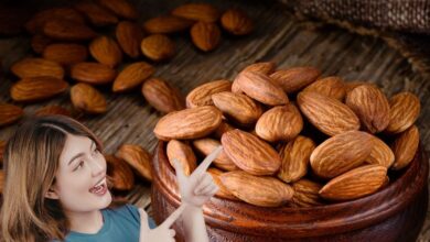 गर्मियों में बादाम खाने चाहिए या नहीं? अधिकतर लोगों के मन में होता है यह सवाल, एक्सपर्ट से जानिए सही जवाब
