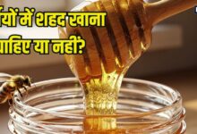 गर्मियों में शहद खाना चाहिए या नहीं? जानें फायदे-नुकसान और सेवन का सही तरीका