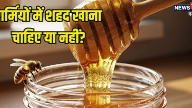गर्मियों में शहद खाना चाहिए या नहीं? जानें फायदे-नुकसान और सेवन का सही तरीका