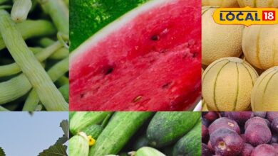 गर्मी में खुद को बचाना है? खाएं ये देसी फल, शरीर रहेगा ठंडा, दूर होगी थकान और मिलेगा नेचुरल एनर्जी बूस्ट