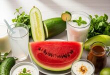 गर्मी में शरीर को ठंडा रखने के लिये रोज की डाइट में जरूर करें इन चीजों को शामिल, जानिये