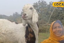 गांव की मिट्टी में छुपा है पैसा, 1 लाख में शुरू करें ये कमाल के बिजनेस, जानिए पूरा तरीका - Uttar Pradesh News