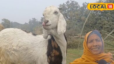 गांव की मिट्टी में छुपा है पैसा, 1 लाख में शुरू करें ये कमाल के बिजनेस, जानिए पूरा तरीका - Uttar Pradesh News