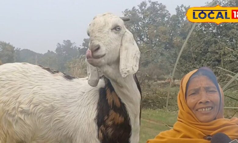 गांव की मिट्टी में छुपा है पैसा, 1 लाख में शुरू करें ये कमाल के बिजनेस, जानिए पूरा तरीका - Uttar Pradesh News