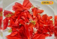 जंगल में उगने वाला ये ‘अनदेखा फूल’ निकला सेहत का खजाना, जानिए इसके गजब फायदे