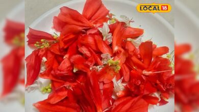 जंगल में उगने वाला ये ‘अनदेखा फूल’ निकला सेहत का खजाना, जानिए इसके गजब फायदे