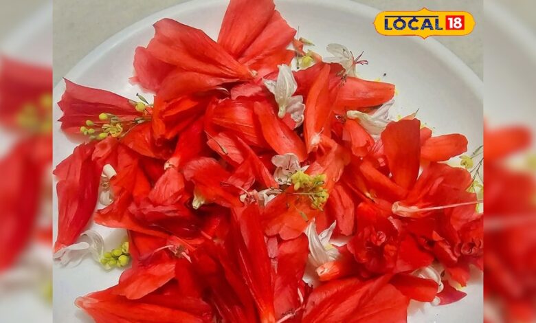 जंगल में उगने वाला ये ‘अनदेखा फूल’ निकला सेहत का खजाना, जानिए इसके गजब फायदे