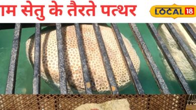 जयपुर में आज भी तैरते हैं रामसेतु के पत्थर! रहस्य जानने दूर-दूर से पहुंच रहे लोग