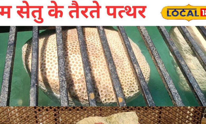 जयपुर में आज भी तैरते हैं रामसेतु के पत्थर! रहस्य जानने दूर-दूर से पहुंच रहे लोग