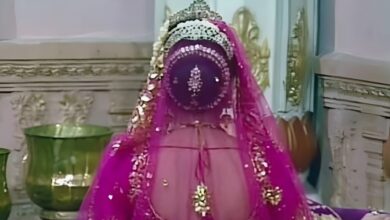 जया बच्चन की हमशक्ल, महाभारत में 1 रोल से रातोंरात बनी स्टार, बी ग्रेड फिल्मों ने बर्बाद किया बना बनाया करियर