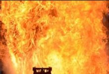 झुंझुनूं में सिलेंडर ब्लास्ट से दो बड़े हादसे, 19 मवेशियों की मौत, मकान ढहने से मची अफरा-तफरी