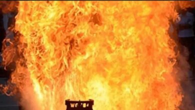 झुंझुनूं में सिलेंडर ब्लास्ट से दो बड़े हादसे, 19 मवेशियों की मौत, मकान ढहने से मची अफरा-तफरी