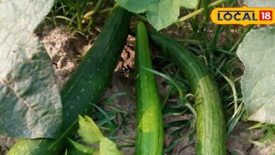डायबिटीज से लेकर कब्ज तक की समस्या में कारगर है यह हरी सब्जी! अगर वजन घटाना है, तो इसके जूस का करें सेवन