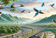 दिल्ली-देहरादून एक्सप्रेसवे खुलते ही बन गया ‘कमाई का कॉरिडोर’, आखिर कैसे?