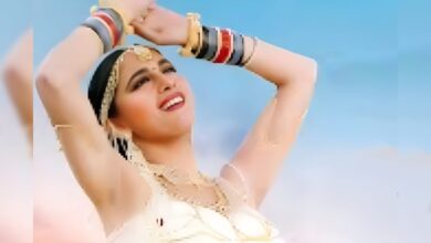 दुल्हन की फीलिंग्स बयां करने वाला ब्लॉकबस्टर गाना, वादियों में नाची थीं माधुरी दीक्षित, हर शादी को बना दिया यादगार