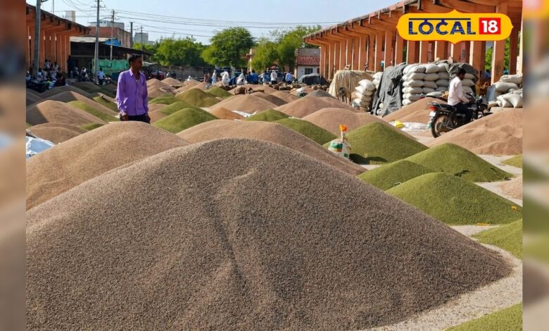 नागौर मंडी में सौंफ बनी 'सोना', 13 दिन में भाव हुए दोगुने! क्या आपके पास भी है स्टॉक? जानें जीरा और सरसों का ताजा हाल