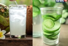 नारियल पानी या खीरे का पानी? जानें हाइड्रेशन के लिए इनमें से कौन सा ड्रिंक है सबसे बेस्ट, चुनें अपने बॉडी के हिसाब से