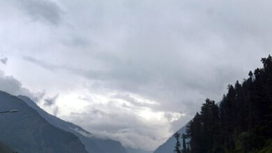 पहलगाम हमले को याद कर भावुक हुए रऊफ वानी, बोले- सुरक्षा बेहतर हुई लेकिन ... - pahalgam terrorist attack first anniversary Rouf Wani one of the heroes