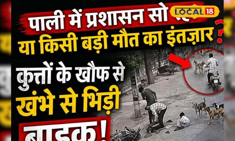 पाली में आवारा कुत्तों का आतंक, बचने के लिए तेज दौड़ी बाइक, पोल से टकराकर उड़े परखच्चे