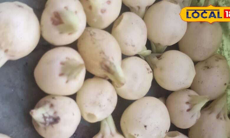 पुरुषों की कमजोरी का देसी इलाज? महुआ-दूध का ये मिश्रण बना सकता है गेम चेंजर, जानिए सेवन का तरीका