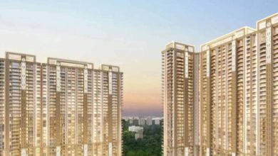 प्लांड शहर से प्रॉपर्टी पॉवरहाउस बनने जा रहा नोएडा? 5 साल में बदल गया कितना कुछ, जान के होगी हैरानी noida property powerhouse