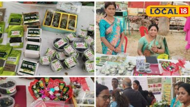 बीड़ा से बिजनेस तक, छत्तीसगढ़ के छुईखदान की महिलाओं ने पान को बना दिया ब्रांड - Chhattisgarh News