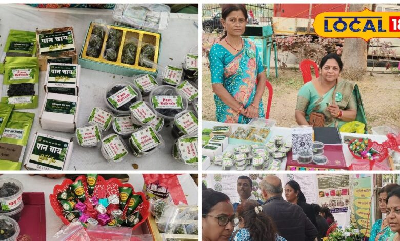 बीड़ा से बिजनेस तक, छत्तीसगढ़ के छुईखदान की महिलाओं ने पान को बना दिया ब्रांड - Chhattisgarh News