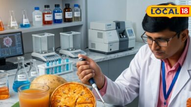 बेल से मिटेगा ब्रेस्ट कैंसर..! गर्मियों में मिलने वाला सुपरफूड, दवा बनाने में होगा उपयोग, वैज्ञानिकों का रिसर्च