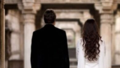 बॉलीवुड की वो बोल्ड फिल्में, जिनमें हीरो ने आधी उम्र की हसीना संग लड़ाया इश्क, परिवार संग देखने की न करें गलती