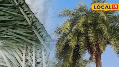 भरतपुर की महिलाएं पत्तियों से बुन रहीं झाड़ू, सादगी में छिपा बड़ा हुनर