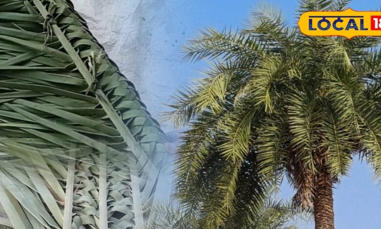 भरतपुर की महिलाएं पत्तियों से बुन रहीं झाड़ू, सादगी में छिपा बड़ा हुनर