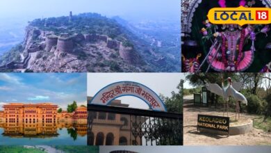 भरतपुर के टॉप पिकनिक स्पॉट, जहां प्रकृति, इतिहास और आस्था मिलकर हर सफर को बनाते हैं यादगार