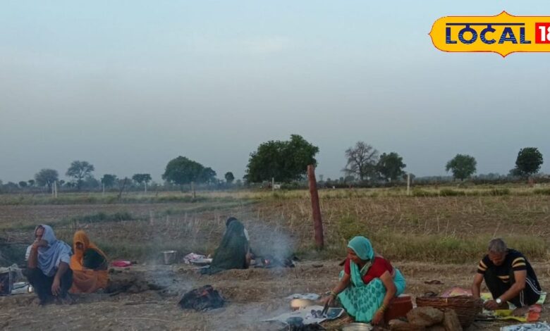 भीषण गर्मी, अनोखी परंपरा... एक दिन नहीं जलता घर का चूल्हा, खेतों में बनता है पूरे गांव का भोजन