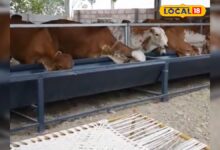 भोजपुर में युवाओं को मिलेगी 12 दिन की फ्री डेयरी ट्रेनिंग, जानें आवेदन की डिटेल