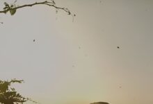 मर्डर, म्यूजिक और मिस्ट्री, डार्क कॉमेडी के हर सीन में धोखा, हर मोड़ पर ट्विस्ट, क्लाइमैक्स ऐसा घूम जाएगा दिमाग