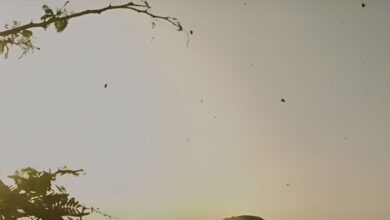 मर्डर, म्यूजिक और मिस्ट्री, डार्क कॉमेडी के हर सीन में धोखा, हर मोड़ पर ट्विस्ट, क्लाइमैक्स ऐसा घूम जाएगा दिमाग