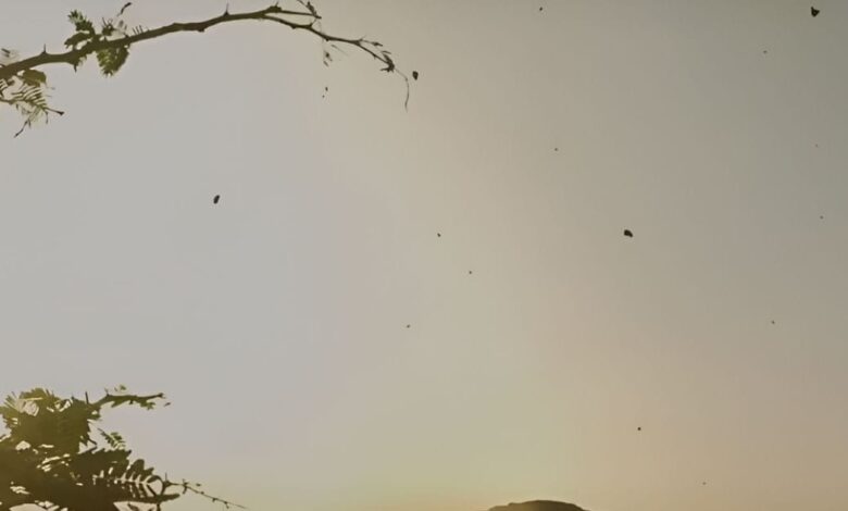 मर्डर, म्यूजिक और मिस्ट्री, डार्क कॉमेडी के हर सीन में धोखा, हर मोड़ पर ट्विस्ट, क्लाइमैक्स ऐसा घूम जाएगा दिमाग