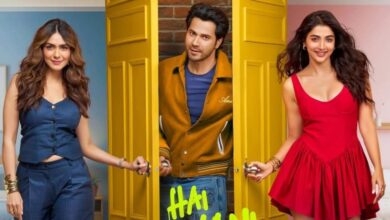 यश ने पोस्टपोन की 'टॉक्सिक' की रिलीज, तो वरुण धवन ने तीसरी बार बदली 'है जवानी तो इश्क होना है' की डेट