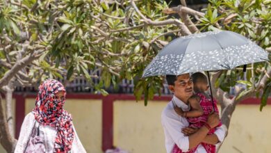 राजस्थान में मौसम का हाल बेहाल, अलवर-चूरू में हीटवेव, IMD का इन जिलों में रेड अलर्ट