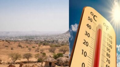 राजस्थान में मौसम की मार! जयपुर-अलवर में लू का प्रहार, IMD का दौसा-डीग में हीटवेव अलर्ट
