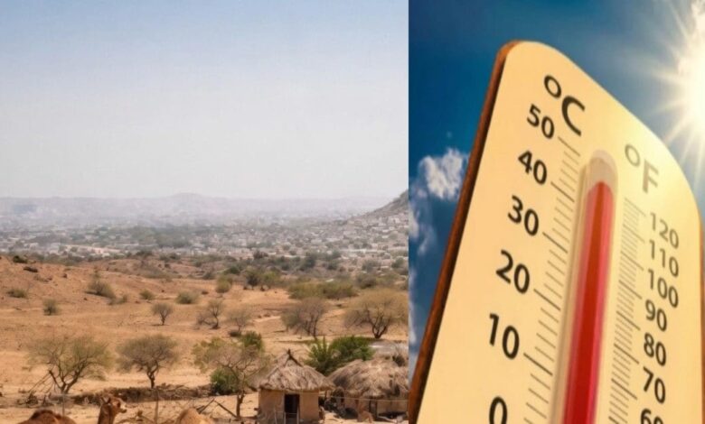 राजस्थान में मौसम की मार! जयपुर-अलवर में लू का प्रहार, IMD का दौसा-डीग में हीटवेव अलर्ट