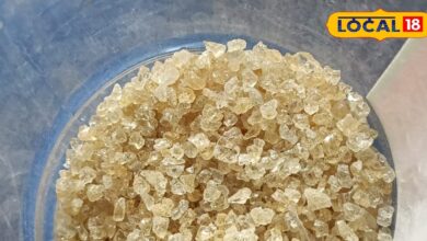 लू और डिहाइड्रेशन से बचाए गोंद कतीरा, गर्मी में शरीर को रखे ठंडा, जानें सेवन का सही तरीका