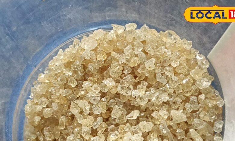 लू और डिहाइड्रेशन से बचाए गोंद कतीरा, गर्मी में शरीर को रखे ठंडा, जानें सेवन का सही तरीका