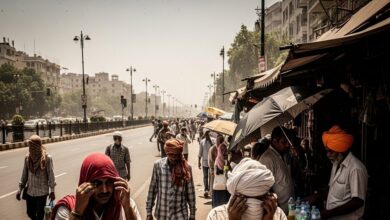 लू का जानलेवा अटैक! 40 पार हो चुका पारा, शरीर दे ये संकेत तो तुरंत अपनाएं सरकारी गाइडलाइन, वरना...